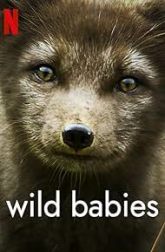 دانلود سریال Wild Babies 2022–