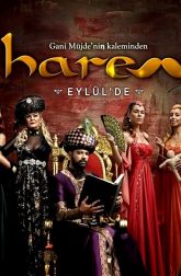 دانلود سریال Harem 2012