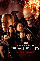 دانلود سریال Agents of S.H.I.E.L.D.