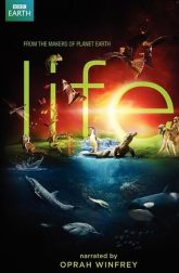 دانلود سریال Life -2009