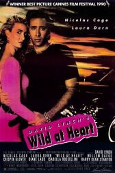 دانلود فیلم Wild at Heart 1990