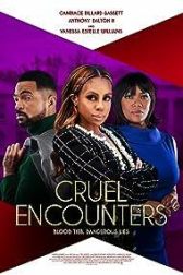 دانلود فیلم Cruel Encounters 2023