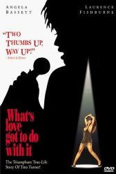 دانلود فیلم Whats Love Got to Do with It 1993