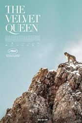 دانلود فیلم The Velvet Queen 2021