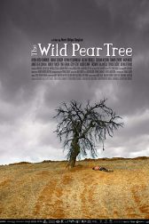 دانلود فیلم The Wild Pear Tree 2018