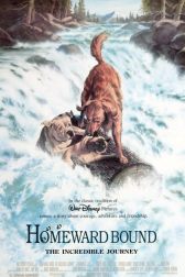 دانلود فیلم Homeward Bound: The Incredible Journey 1993