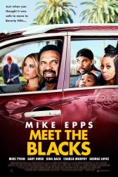 دانلود فیلم Meet the Blacks 2016