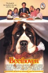 دانلود فیلم Beethoven 1992