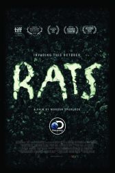 دانلود فیلم Rats 2016