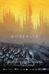 دانلود فیلم Borealis 2020