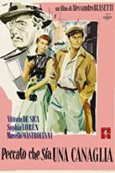 دانلود فیلم Too Bad She’s Bad 1954