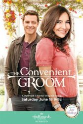 دانلود فیلم The Convenient Groom 2016