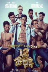 دانلود فیلم 12 Golden Ducks 2015