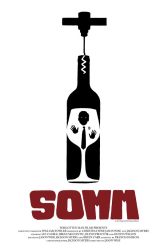 دانلود فیلم Somm 2012