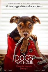 دانلود فیلم A Dogu0027s Way Home 2019