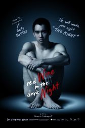 دانلود فیلم Red Wine in the Dark Night 2015