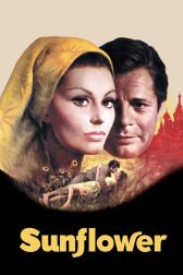 دانلود فیلم Sunflower 1970