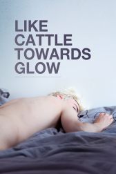 دانلود فیلم Like Cattle Towards Glow 2015