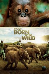 دانلود فیلم Born to Be Wild 2011