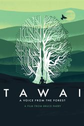 دانلود فیلم Tawai: A Voice from the Forest 2017