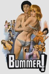 دانلود فیلم Bummer 1973