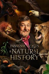 دانلود فیلم Fantastic Beasts: A Natural History 2022