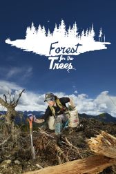 دانلود فیلم Forest for the Trees 2021