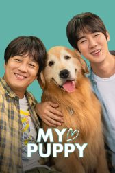 دانلود فیلم My Heart Puppy 2023