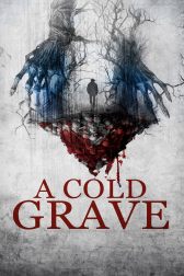 دانلود فیلم A Cold Grave 2024