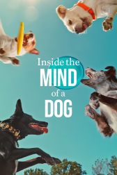 دانلود فیلم Inside the Mind of a Dog 2024