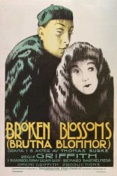 دانلود فیلم Broken Blossoms or The Yellow Man and the Girl 1919