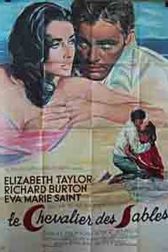 دانلود فیلم The Sandpiper 1965