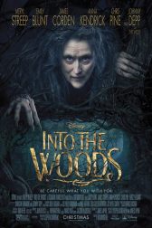 دانلود فیلم Into the Woods 2014