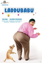 دانلود فیلم Laddu Babu 2014