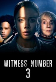 دانلود سریال Witness Number 3 2022–