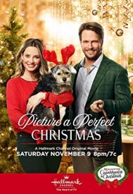 دانلود فیلم Picture a Perfect Christmas 2019