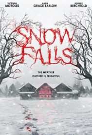 دانلود فیلم Snow Falls 2023