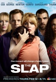 دانلود سریال The Slap 2015