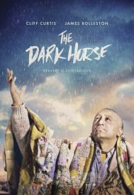 دانلود فیلم The Dark Horse 2014