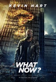 دانلود فیلم Kevin Hart: What Now? 2016