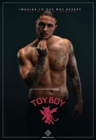 دانلود سریال Toy Boy 2019