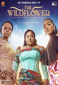 دانلود فیلم The Wildflower 2022