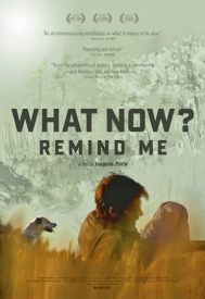 دانلود فیلم What Now? Remind Me 2013