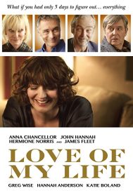 دانلود فیلم Love of My Life 2017