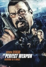 دانلود فیلم The Perfect Weapon 2016