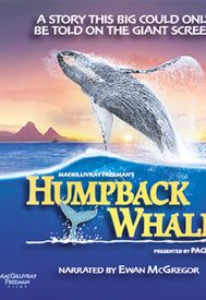 دانلود فیلم Humpback Whales 2015