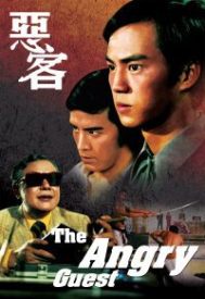 دانلود فیلم The Angry Guest 1972