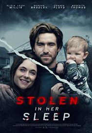 دانلود فیلم Stolen in Her Sleep 2022