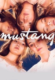 دانلود فیلم Mustang 2015