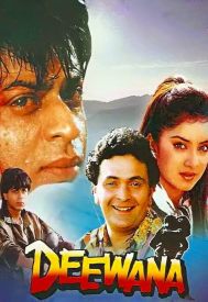 دانلود فیلم Deewana 1992